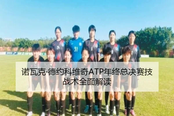诺瓦克·德约科维奇ATP年终总决赛技战术全面解读